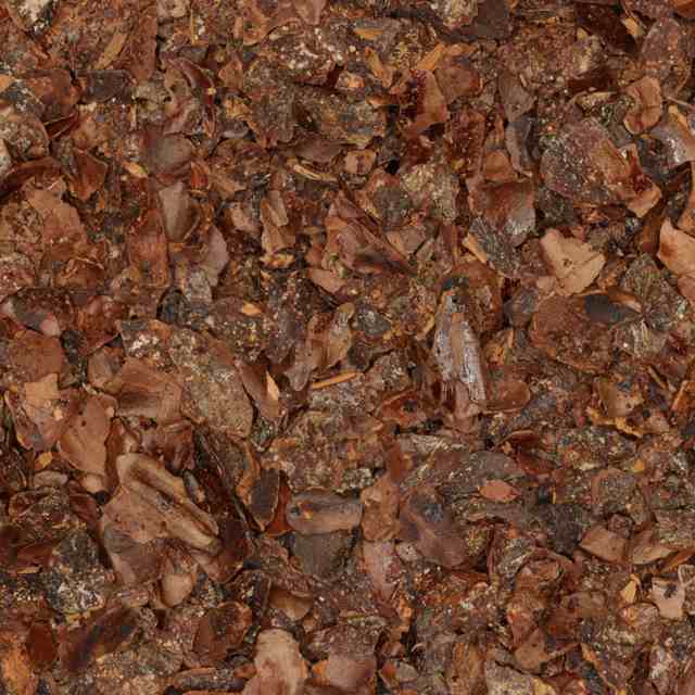 Cacaodoppen Gebroken van De Theefabriek, 1x 2kg